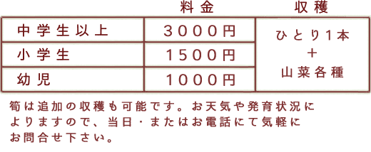 大人：3000円、小学生：1500円、幼児：1000円--ひとり１本＆山菜摘み